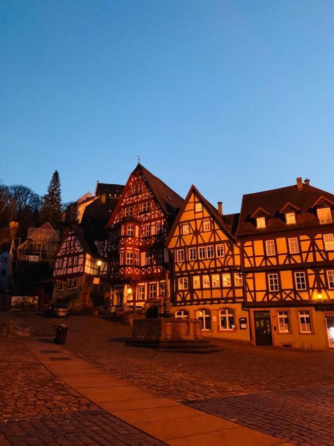 Ferienwohnung Am Brunnen Großheubach Dış mekan fotoğraf