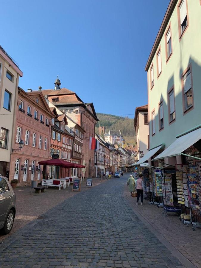 Ferienwohnung Am Brunnen Großheubach Dış mekan fotoğraf