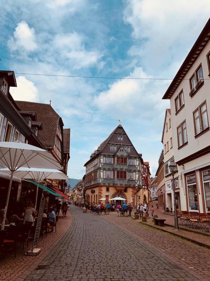 Ferienwohnung Am Brunnen Großheubach Dış mekan fotoğraf